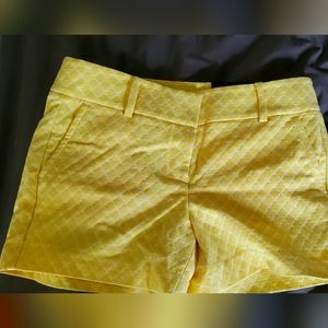 Ann Taylor Shorts